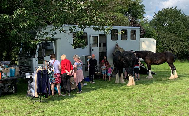 Shire horses at the mayfield fair